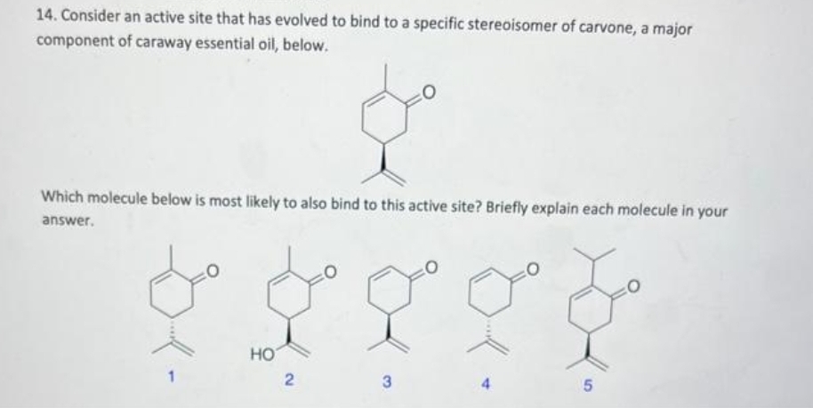 14. Consider an active site that has evolved to bind to a specific stereoisomer of carvone, a major
component of caraway essential oil, below.
8°⁰
Which molecule below is most likely to also bind to this active site? Briefly explain each molecule in your
answer.
HO
2
3
4
5