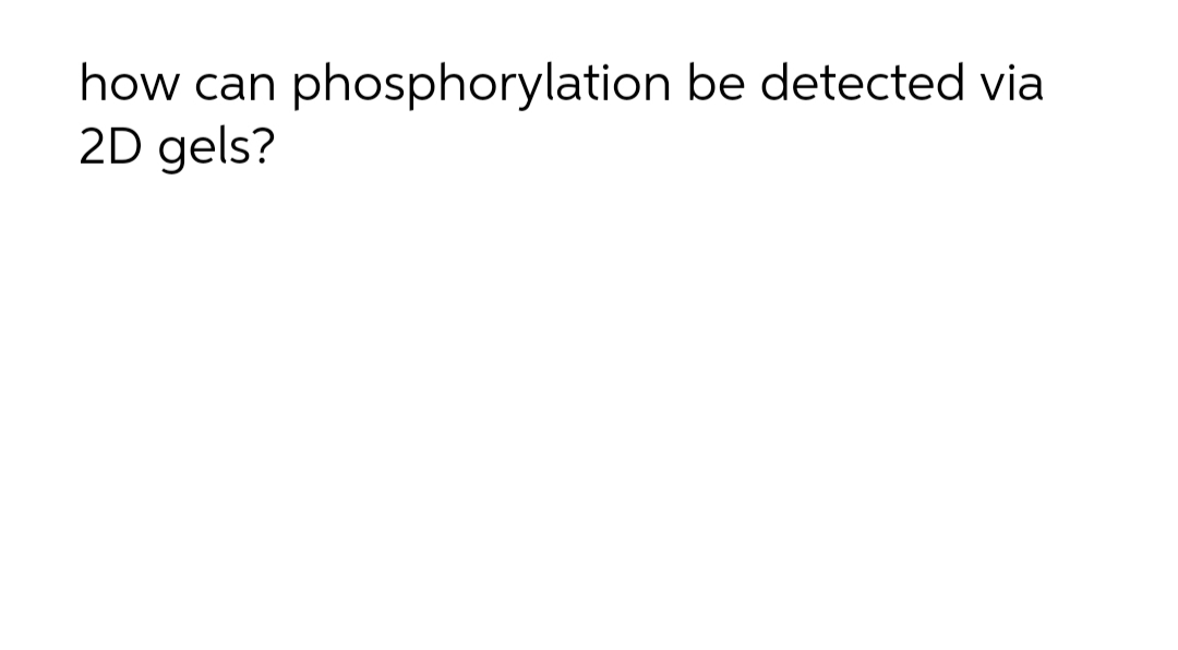 how can phosphorylation be detected via
2D gels?
