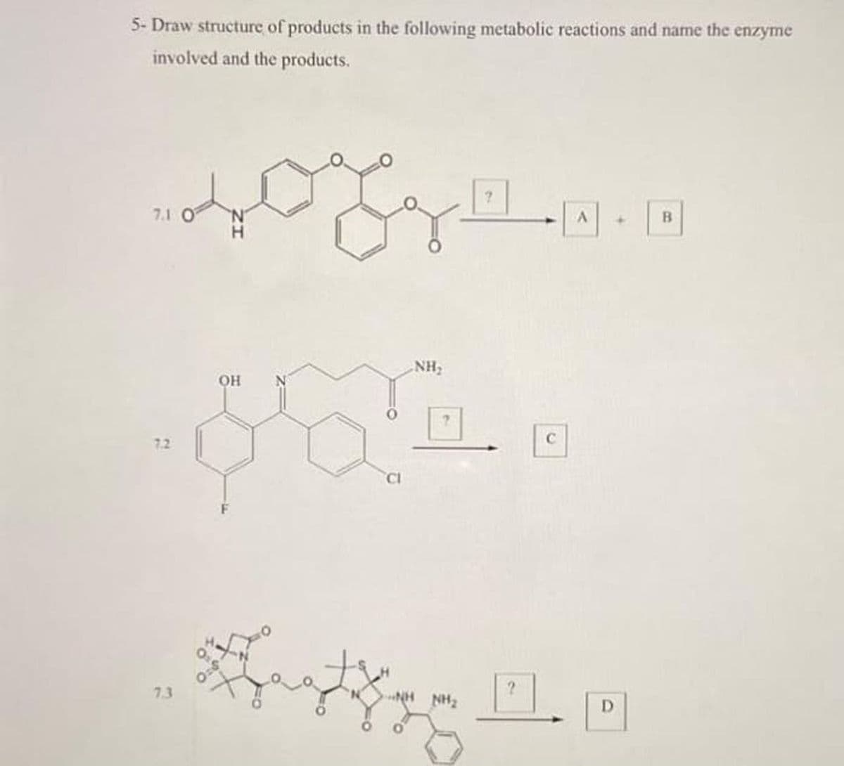 5- Draw structure of products in the following metabolic reactions and name the enzyme
involved and the products.
7.1 O
H.
NH2
он
7.2
OR
O:
7.3
HN
NH2
D
