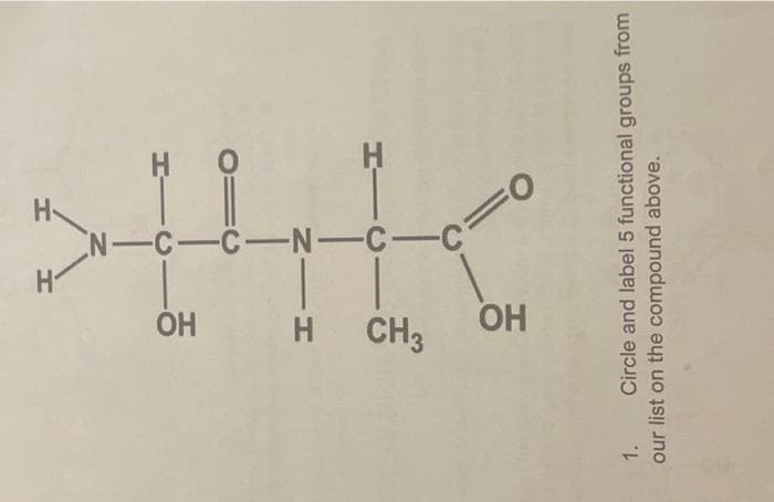 119
CH3
HIN
OH
IH
-C-N-C-C
31
JIH
1. Circle and label 5 functional groups from
our list on the compound above.