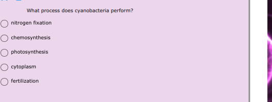 What process does cyanobacteria perform?
O nitrogen fixation
chemosynthesis
photosynthesis
cytoplasm
fertilization
