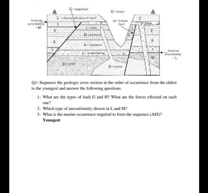 G-Eagle Fault
K-Canyon
C Breccia th dasts ofi and F
Erosional
unconformity
-M
H=Vulture
Fault
Shale
A-Sandstone
Erosional
unconformity
L
QI/ Sequence the geologic cross section in the order of occurrence from the oldest
to the youngest and answer the following questions.
1- What are the types of fault G and H? What are the forces effected on each
one?
2- Which type of unconformity shown in L and M?
3- What is the marine occurrence required to form the sequence (AEI)?
Youngest
