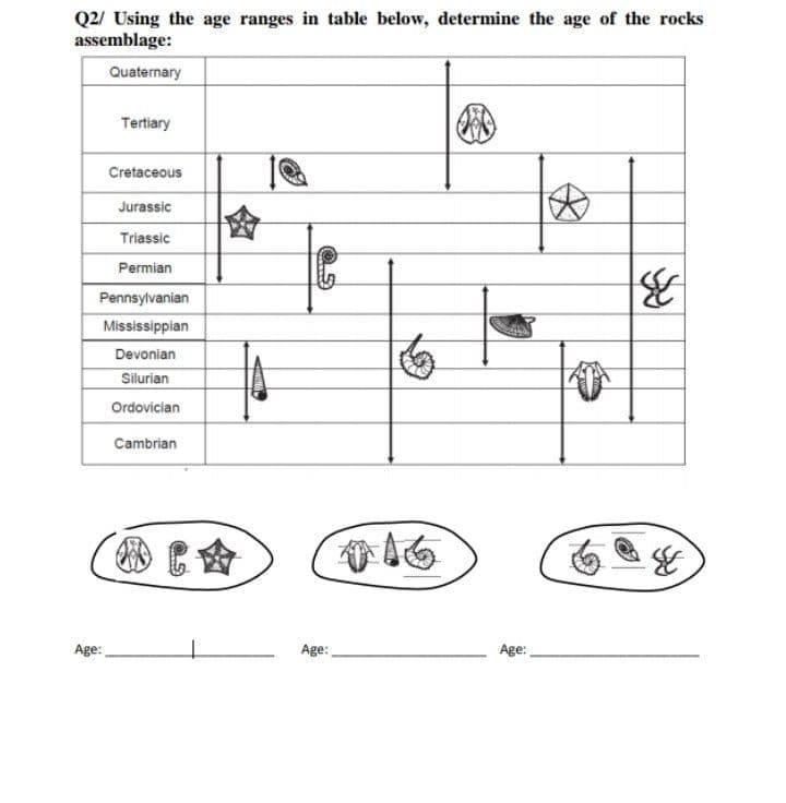 Q2/ Using the age ranges in table below, determine the age of the rocks
assemblage:
Quaternary
Tertiary
Cretaceous
Jurassic
Triassic
Permian
Pennsylvanian
Mississippian
Devonian
Silurian
Ordovician
Cambrian
多
Age:
Age:
Age:
