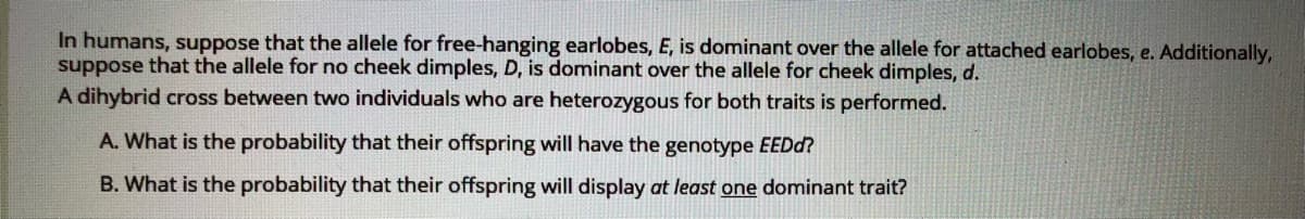 In humans, suppose that the allele for free-hanging earlobes, E, is dominant over the allele for attached earlobes, e. Additionally,
suppose that the allele for no cheek dimples, D, is dominant over the allele for cheek dimples, d.
A dihybrid cross between two individuals who are heterozygous for both traits is performed.
A. What is the probability that their offspring will have the genotype EEDd?
B. What is the probability that their offspring will display at least one dominant trait?
