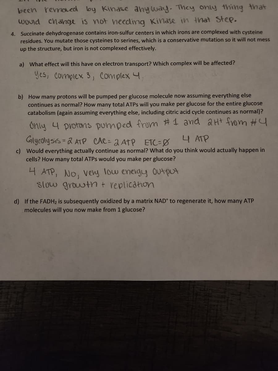 been removed by Kinase anyway. They only thing that
would change is not needing Kinase in that step.
4. Succinate dehydrogenase contains iron-sulfur centers in which irons are complexed with cysteine
residues. You mutate those cysteines to serines, which is a conservative mutation so it will not mess
up the structure, but iron is not complexed effectively.
a) What effect will this have on electron transport? Which complex will be affected?
Yes, complex 3, Complex 4,
b) How many protons will be pumped per glucose molecule now assuming everything else
continues as normal? How many total ATPs will you make per glucose for the entire glucose
catabolism (again assuming everything else, including citric acid cycle continues as normal)?
Only 4 protons pumped from #1 and 2H+ from #4
4 ATP
Glycolysis=2 ATP CAC = 2 ATP ETC-0
c) Would everything actually continue as normal? What do you think would actually happen in
cells? How many total ATPs would you make per glucose?
4 ATP, No, very low energy Output
slow growth + replication
d) If the FADH₂ is subsequently oxidized by a matrix NAD* to regenerate it, how many ATP
molecules will you now make from 1 glucose?