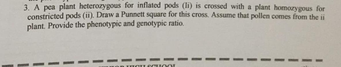 3. A pea plant heterozygous for inflated pods (li) is crossed with a plant homozygous for
constricted pods (ii). Draw a Punnett square for this cross. Assume that pollen comes from the ii
plant. Provide the phenotypic and genotypic ratio.
