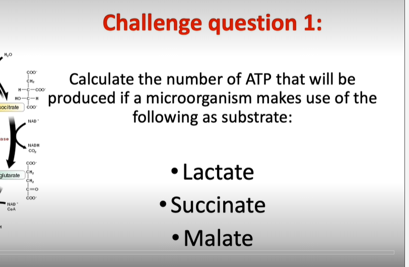 Challenge question 1:
Calculate the number of ATP that will be
CH.
H-C-coo
produced if a microorganism makes use of the
following as substrate:
HO-C-H
socitrate coo
NAD
ase
NADH
co,
• Lactate
Coo
glutarate
CH,
• Succinate
čoo
NAD
COA
• Malate
