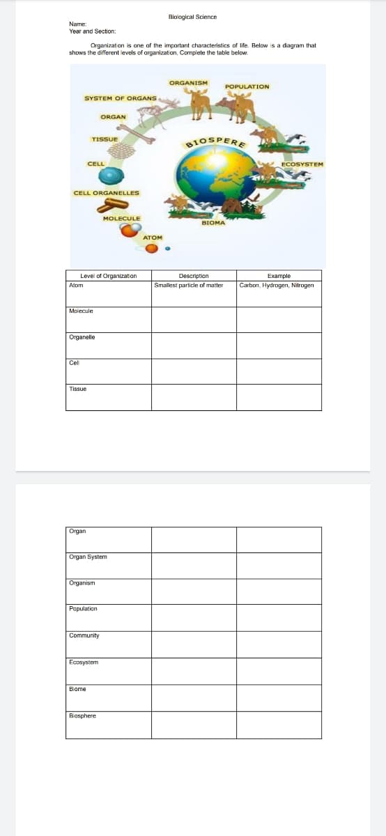 Biological Science
Name:
Year and Section:
Organization is one of the important characteristics of life. Below is a diagram that
shows the different levels of organization. Complete the table below.
ORGANISM
POPULATION
SYSTEM OF ORGANS
ORGAN
TISSUE
BIOSPERE
CELL
ECOSYSTEM
CELL ORGANELLES
MOLECULE
BIOMA
ATOM
Level of Organization
Description
Example
Afom
Smallest particle of matter
Carbon, Hydrogen, Nitrogen
Molecule
Organelle
Cel
Tissue
Organ
Organ System
Organism
Population
Community
Ecosysterm
Biome
Biasphere
