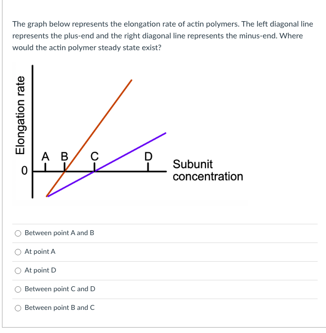 The graph below represents the elongation rate of actin polymers. The left diagonal line
represents the plus-end and the right diagonal line represents the minus-end. Where
would the actin polymer steady state exist?
A B
D
Subunit
concentration
Between point A and B
At point A
At point D
Between point C and D
Between point Band C
Elongation rate
