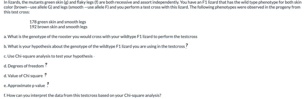 In lizards, the mutants green skin (g) and flaky legs (f) are both recessive and assort independently. You have an F1 lizard that has the wild type phenotype for both skin
color (brown-use allele G) and legs (smooth -use allele F) and you perform a test cross with this lizard. The following phenotypes were observed in the progeny from
this test cross:
178 green skin and smooth legs
192 brown skin and smooth legs
a. What is the genotype of the rooster you would cross with your wildtype F1 lizard to perform the testcross
b. What is your hypothesis about the genotype of the wildtype F1 lizard you are using in the testcross?
c. Use Chi-square analysis to test your hypothesis -
d. Degrees of freedom ?
d. Value of Chi square ?
e. Approximate p value ?
f. How can you interpret the data from this testcross based on your Chi-square analysis?
