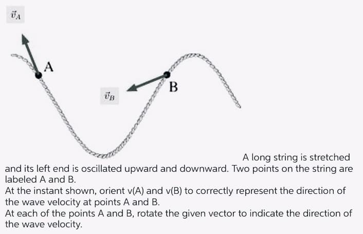 B.
В
A long string is stretched
and its left end is oscillated upward and downward. Two points on the string are
labeled A and B.
At the instant shown, orient v(A) and v(B) to correctly represent the direction of
the wave velocity at points A and B.
At each of the points A and B, rotate the given vector to indicate the direction of
the wave velocity.
