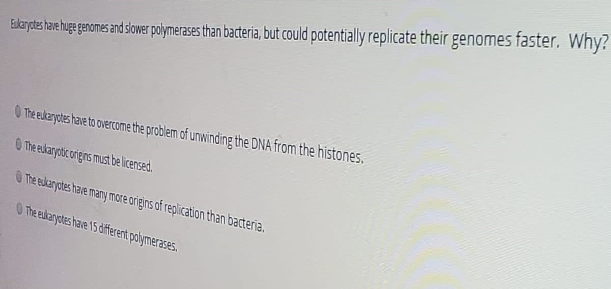 Elaryotes have huge genomes and slower polymerases than bacteria, but could potentially replicate their genomes faster. Why?
The eukaryotes have to overcome the problem of unwinding the DNA from the histones.
O The eukaryotic origins must be licensed.
O The eukaryotes have many more origins of replication than bacteria.
0 The eukaryotes have 15 different polymerases.
