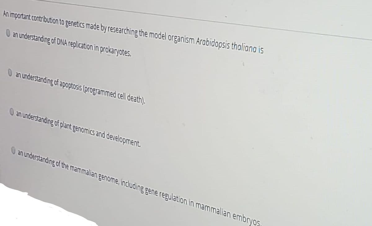 An important contribution to genetics made by researching the model organism Arabidopsis thaliana is
O an understanding of DNA replication in prokaryotes.
O an understanding of apoptosis (programmed cell death).
O an understanding of plant genomics and development.
O an understanding of the mammalian genome, indluding gene regulation in mammalian embryos
