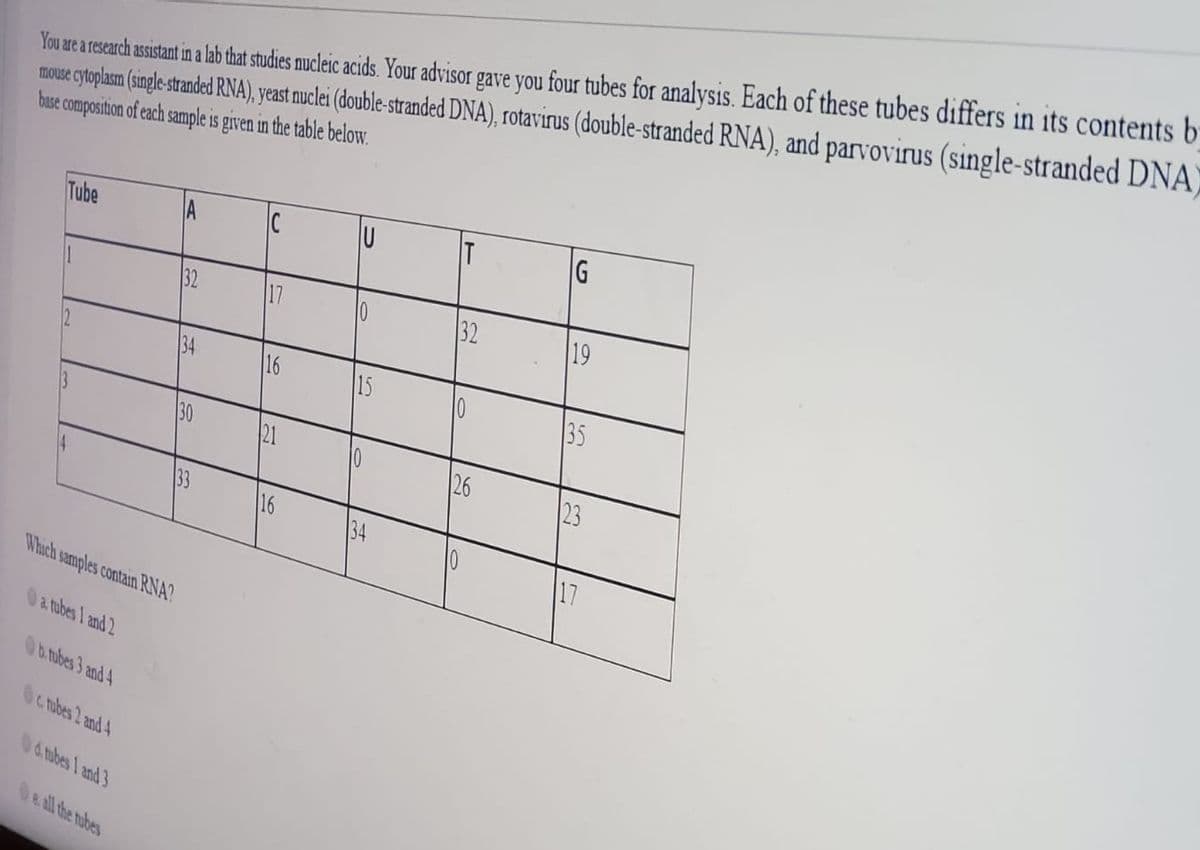 You are a research assisant in a lab that studies nucleic acids. Your advisor gave you four tubes for analysis. Each of these tubes differs in its contents b
mouse cytoplam (single stranded RNA), yeast nuclei (double-stranded DNA), rotavirus (double-stranded RNA), and parvovirus (single-stranded DNA)
base composition of each sample is given in the table below.
15
Tube
A
G
32
17
32
19
16
15
35
21
23
33
16
134
10
17
Which samples contain RNA?
0 a tubes I and 2
b. tubes 3 and 4
c mubes 2 and 4
04 mubes I and 3
e all the tubes
