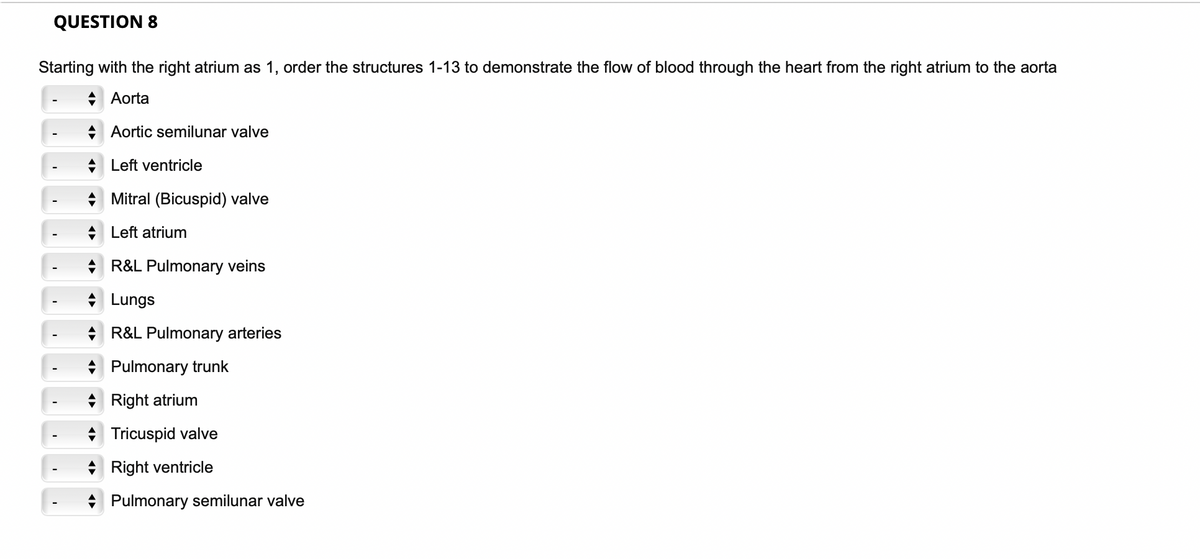 QUESTION 8
Starting with the right atrium as 1, order the structures 1-13 to demonstrate the flow of blood through the heart from the right atrium to the aorta
◆ Aorta
Aortic semilunar valve
Left ventricle
Mitral (Bicuspid) valve
Left atrium
R&L Pulmonary veins
Lungs
R&L Pulmonary arteries
Pulmonary trunk
Right atrium
Tricuspid valve
Right ventricle
Pulmonary semilunar valve