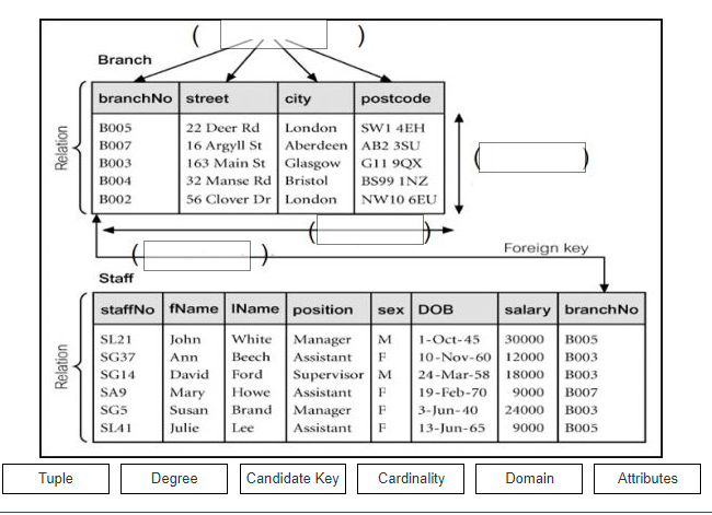 Branch
branchNo street
city
postcode
22 Deer Rd
London
SWI 4EH
BO05
BO07
16 Argyll St
Aberdeen AB2 3SU
Glasgow
32 Manse Rd Bristol
BO03
163 Main St
GI1 9QX
BO04
BS99 INZ
BO02
56 Clover Dr London
NW10 6EU
Foreign key
Staff
staffNo fName IName position
sex DOB
salary branchNo
SL21
John
White
BO05
Manager
Assistant
M
1-Oct-45
30000
SG37
Ann
Beech
F
10-Nov-60 12000
вооз
SG14
David
Ford
Supervisor M
24-Mar-58
18000
вооз
SA9
Mary
Howe
Assistant
19-Feb-70
9000
BO07
SG5
Susan
Brand
Manager
3-Jun-40
24000
вооз
SLA1
Julie
Lee
Assistant
13-Jun-65
9000
BO05
Tuple
Degree
Candidate Key
Cardinality
Domain
Attributes
Relation
Relation
