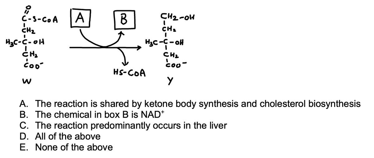 ## Reaction Pathway and Multiple Choice Questions

In the given diagram, a chemical reaction is illustrated involving a transition from compound W to compounds A and B, and finally yielding product Y:

**Reaction Diagram Explanation:**
- Compound W is presented with the structure: 
  - \( \text{O}=C-\text{S-CoA} \)
  - \( \text{CH}_2 \)
  - \( \text{CH}(\text{OH}) \)
  - \( \text{CH}_2 \text{COO}^- \)
- Compound A is shown in a box and points towards two pathways involving compound B and HS-CoA.
- The product Y has the structure:
  - \( \text{CH}_2 \text{OH} \)
  - \( \text{CH}_2 \)
  - \( \text{CH}(\text{OH}) \)
  - \( \text{CH}_2 \text{COO}^- \)

**Multiple Choice Questions:**
A. The reaction is shared by ketone body synthesis and cholesterol biosynthesis  
B. The chemical in box B is NAD<sup>+</sup>  
C. The reaction predominantly occurs in the liver  
D. All of the above  
E. None of the above  

**Understanding the Question:**

The questions are testing your knowledge of biochemical pathways involving compounds W and Y, and the roles of compounds A and B in these pathways.

**Educational Note:**

This setup encourages students to understand how specific metabolic pathways are interconnected and how common intermediates and reactions are recycled within the body's biochemical arsenal, especially those pertinent to ketone body synthesis, cholesterol biosynthesis, and liver functionality.