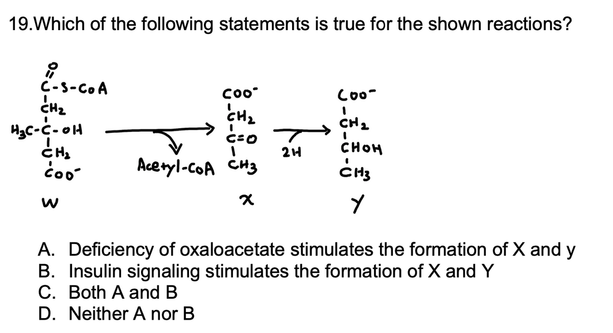 **Question 19: Metabolic Pathways and Enzyme Reactions**

**Which of the following statements is true for the shown reactions?**

**Reaction Diagram Description:**
- **W to X Transformation:** 
  - The molecule labeled **W** (chemical structure: C-S-CoA, CH2, H3C-C-OH, CH2, COO-) undergoes a transformation resulting in the molecule labeled **X** (chemical structure: COO-, CH2, C=O, CH3).
  - This transformation involves an intermediate which is Acetyl-CoA.

- **X to Y Transformation:** 
  - The molecule **X** (chemical structure: COO-, CH2, C=O, CH3) is further transformed into the molecule labeled **Y** (chemical structure: COO-, CH2, CHOH, CH3).
  - This transformation involves the addition of a Hydrogen (2H).

**Option A:**
- **Deficiency of oxaloacetate stimulates the formation of X and Y**

**Option B:**
- **Insulin signaling stimulates the formation of X and Y**

**Option C:**
- **Both A and B**

**Option D:**
- **Neither A nor B**

**Answer:**
This question tests the understanding of the metabolic conversions and regulatory factors influencing the formation of intermediary compounds X and Y. The student is expected to apply knowledge of biochemical pathways and their regulation.