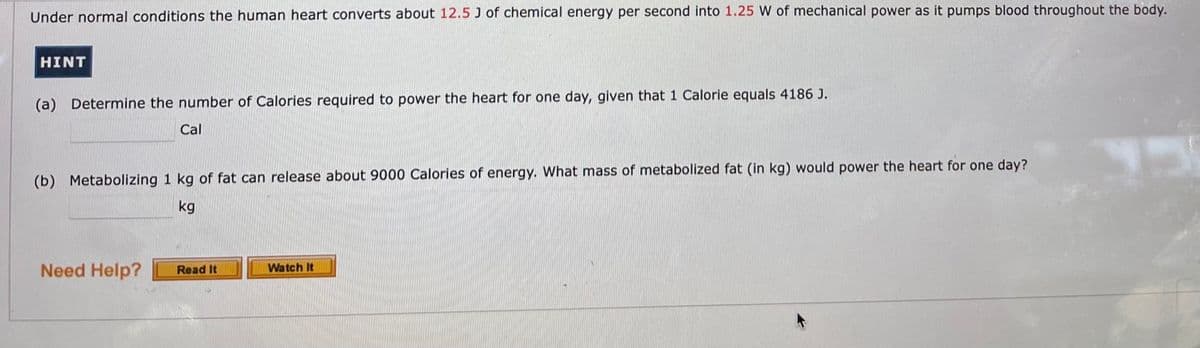 Under normal conditions the human heart converts about 12.5J of chemical energy per second into 1.25 W of mechanical power as it pumps blood throughout the body.
HINT
(a) Determine the number of Calories required to power the heart for one day, given that 1 Calorie equals 4186 J.
Cal
(b) Metabolizing 1 kg of fat can release about 9000 Calories of energy. What mass of metabolized fat (in kg) would power the heart for one day?
kg
Need Help?
Watch It
Read It
