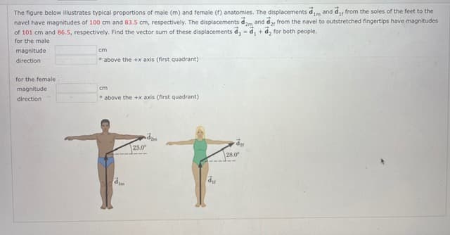 The figure below Illustrates typical proportions of male (m) and female (f) anatomies. The displacements d,m and d, from the soles of the feet to the
navel have magnitudes of 100 cm and 83.5 cm, respectively. The displacements dam and d from the navel to outstretched fingertips have magnitudes
of 101 cm and 86.5, respectively. Find the vector sum of these displacements d,- d, + d, for both people.
for the male
magnitude
cm
direction
* above the +x axis (first quadrant)
for the female
magnitude
cm
direction
* above the +x axis (first quadrant)
tr
23.0
28.0
