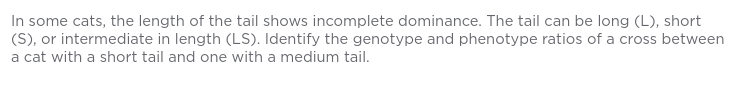 In some cats, the length of the tail shows incomplete dominance. The tail can be long (L), short
(S), or intermediate in length (LS). Identify the genotype and phenotype ratios of a cross between
a cat with a short tail and one with a medium tail.