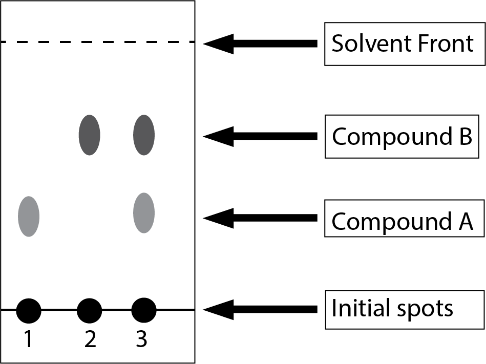 1 2 3
Solvent Front
Compound B
Compound A
Initial spots