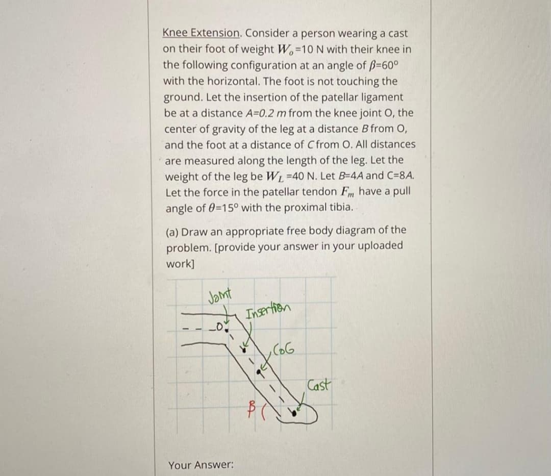 Knee Extension. Consider a person wearing a cast
on their foot of weight W.-1O N with their knee in
the following configuration at an angle of B=60°
with the horizontal. The foot is not touching the
ground. Let the insertion of the patellar ligament
be at a distance A=0.2 m from the knee joint O, the
center of gravity of the leg at a distance B from O,
and the foot at a distance of C from O. All distances
are measured along the length of the leg. Let the
weight of the leg be WL =40 N. Let B=4A and C=8A.
Let the force in the patellar tendon Fm have a pull
angle of 0=15° with the proximal tibia.
(a) Draw an appropriate free body diagram of the
problem. [provide your answer in your uploaded
work]
Jamt
Insertion
Cast
Your Answer:
