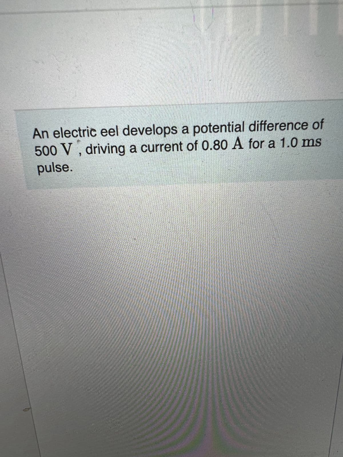 An electric eel develops a potential difference of
500 V, driving a current of 0.80 A for a 1.0 ms
pulse.