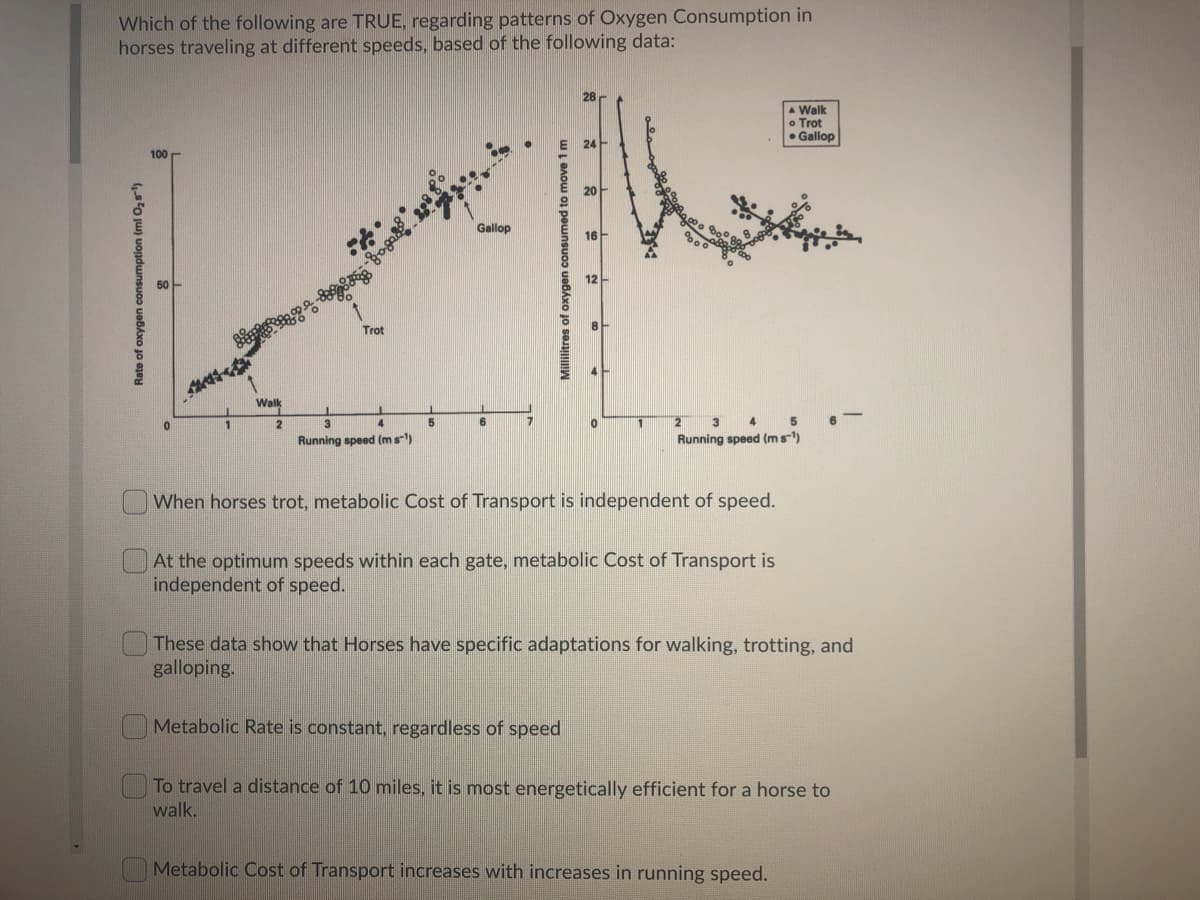 Which of the following are TRUE, regarding patterns of Oxygen Consumption in
horses traveling at different speeds, based of the following data:
A Walk
o Trot
• Gallop
100 -
Gallop
16
12
Trot
Walk
2
3
4
6
2
3
4
Running speed (ms-)
Running speed (ms-)
When horses trot, metabolic Cost of Transport is independent of speed.
OAt the optimum speeds within each gate, metabolic Cost of Transport is
independent of speed.
These data show that Horses have specific adaptations for walking, trotting, and
galloping.
Metabolic Rate is constant, regardless of speed
To travel a distance of 10 miles, it is most energetically efficient for a horse to
walk.
Metabolic Cost of Transport increases with increases in running speed.
Rate of oxygen consumption (ml 02s)
Millilitres of oxygen consumed to move
