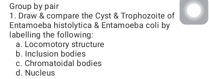 Group by pair
1. Draw & compare the Cyst & Trophozoite of
Entamoeba histolytica & Entamoeba coli by
labelling the following:
a. Locomotory structure
b. Inclusion bodies
c. Chromatoidal bodies
d. Nucleus
