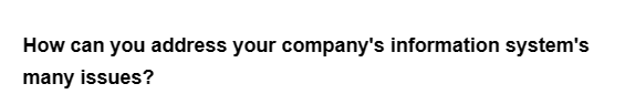 How can you address your company's information system's
many issues?