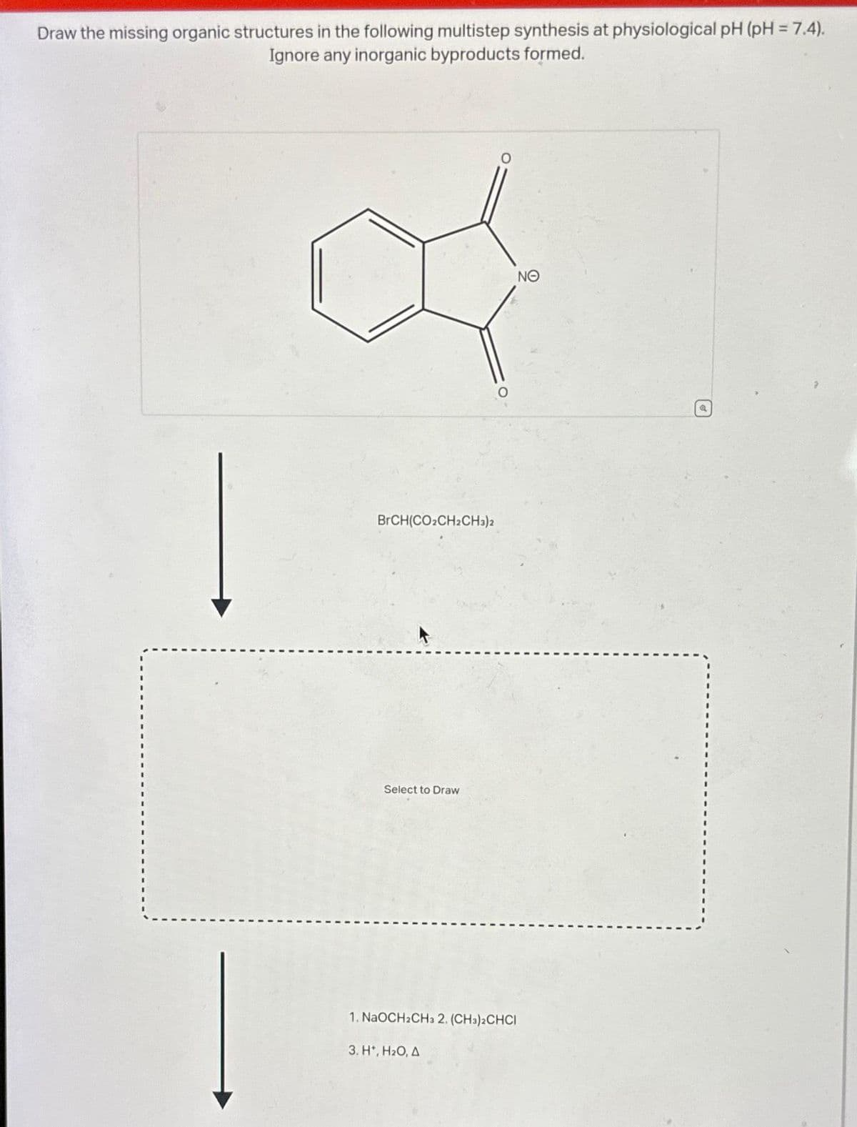Draw the missing organic structures in the following multistep synthesis at physiological pH (pH = 7.4).
Ignore any inorganic byproducts formed.
BrCH(CO2CH2CH3)2
Select to Draw
O
1. NaOCH2CH3 2. (CH3)2CHCI
3. H*, H₂O, A
ΝΘ
Q