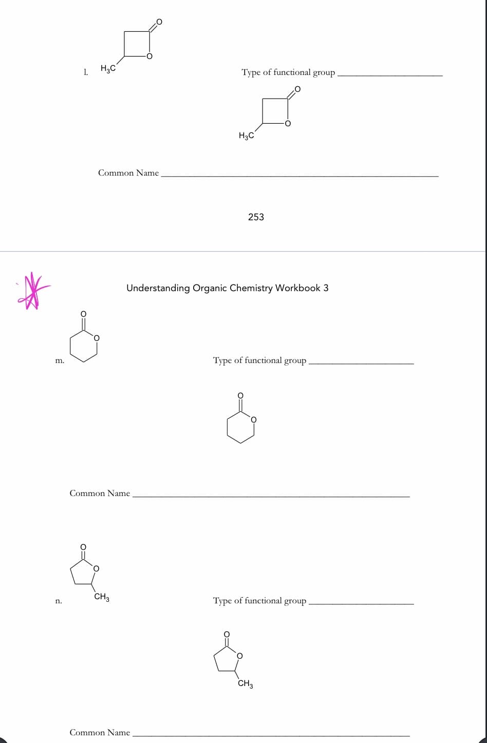 1.
H3C
Type of functional group
H3C
Common Name
253
Understanding Organic Chemistry Workbook 3
Type of functional group
m.
Common Name
O.
CH3
Type of functional group
n.
CH3
Common Name
