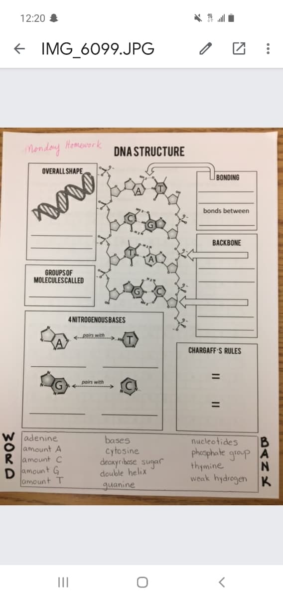 12:20 &
IMG 6099.JPG
Mondoy Hemework
DNA STRUCTURE
OVERALL SHAPE
BONDING
bonds between
ВАСКВONE
GROUPSOF
MOLECULESCALLED
4 NITROGENOUSBASES
Poirs with
CHARGAFF'S RULES
%D
pairs with
%3D
W adenine
amount A
amount C
D lamount G
amount T
bases
cytosine
deoxyribese sugar
double helix
guanine
nucleotides
phesphate grap
thymine
weak hydrogen
BANA
30RD
