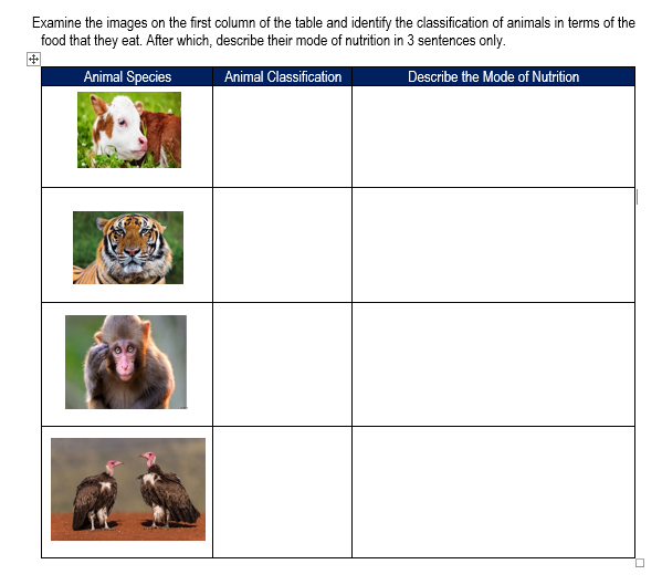 Examine the images on the first column of the table and identify the classification of animals in terms of the
food that they eat. After which, describe their mode of nutrition in 3 sentences only.
Animal Species
Animal Classification
Describe the Mode of Nutrition
