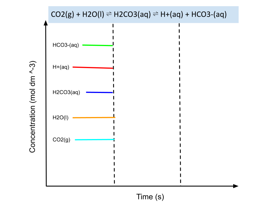 CO2(g) + H2O(1) ⇒ H2CO3(aq) ⇒ H+(aq) + HCO3-(aq)
I
I
HCO3-(aq)
H+(aq)
H2CO3(aq)
H2O(1)
CO2(g)
I
I
I
I
I
I
I