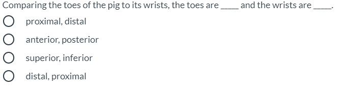 **Comparing Anatomical Positions: Toes and Wrists of a Pig**

Please complete the following sentence with the appropriate anatomical terms:

**Comparing the toes of the pig to its wrists, the toes are ____ and the wrists are ____.**

**Options:**

1. **proximal, distal**
2. **anterior, posterior**
3. **superior, inferior**
4. **distal, proximal**

*Note: This exercise is designed to enhance your understanding of anatomical directional terms as they apply to different parts of an animal's body. Each pair of terms relates to the relative position of the toes and wrists. Carefully consider the meanings of each term before making your selection.*