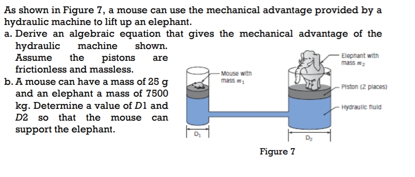 As shown in Figure 7, a mouse can use the mechanical advantage provided by a
hydraulic machine to lift up an elephant.
a. Derive an algebraic equation that gives the mechanical advantage of the
machine
shown.
are
hydraulic
Assume
the
pistons
frictionless and massless.
b. A mouse can have a mass of 25 g
and an elephant a mass of 7500
kg. Determine a value of D1 and
D2 so that the mouse can
support the elephant.
ő
-Mouse with
mass m
Figure 7
Elephant with
mass m₂
-Piston (2 places)
Hydraulic fluid