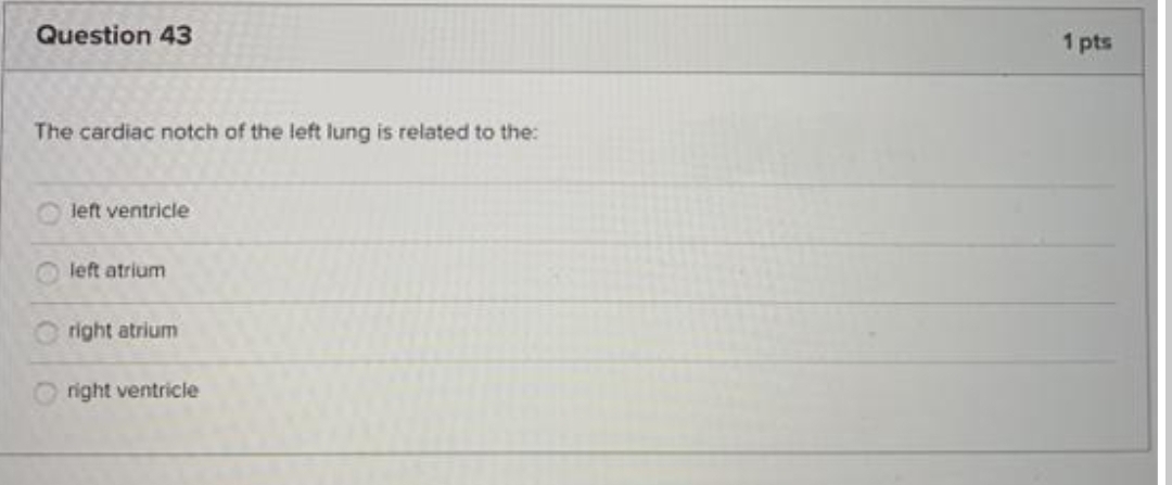 Question 43
1 pts
The cardiac notch of the left lung is related to the:
left ventricle
left atrium
right atrium
right ventricle
