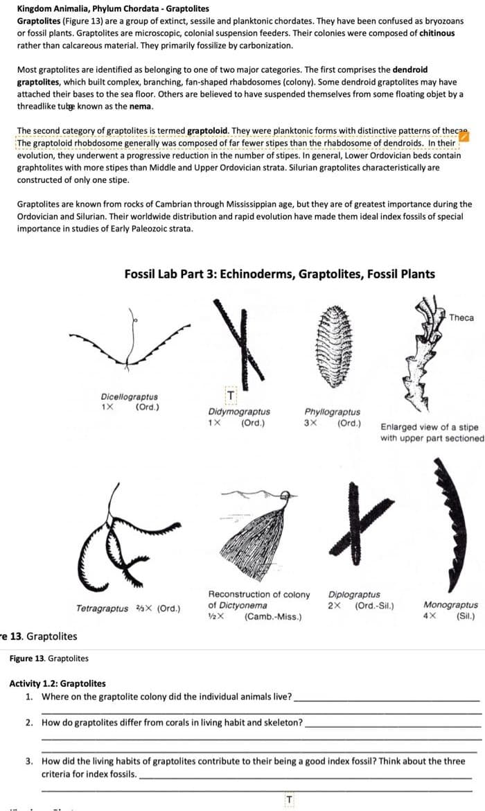 Kingdom Animalia, Phylum Chordata - Graptolites
Graptolites (Figure 13) are a group of extinct, sessile and planktonic chordates. They have been confused as bryozoans
or fossil plants. Graptolites are microscopic, colonial suspension feeders. Their colonies were composed of chitinous
rather than calcareous material. They primarily fossilize by carbonization.
Most graptolites are identified as belonging to one of two major categories. The first comprises the dendroid
graptolites, which built complex, branching, fan-shaped rhabdosomes (colony). Some dendroid graptolites may have
attached their bases to the sea floor. Others are believed to have suspended themselves from some floating objet by a
threadlike tute known as the nema.
The second category of graptolites is termed graptoloid. They were planktonic forms with distinctive patterns of thecae
The graptoloid rhobdosome generally was composed of far fewer stipes than the rhabdosome of dendroids. In their
evolution, they underwent a progressive reduction in the number of stipes. In general, Lower Ordovician beds contain
graphtolites with more stipes than Middle and Upper Ordovician strata. Silurian graptolites characteristically are
constructed of only one stipe.
Graptolites are known from rocks of Cambrian through Mississippian age, but they are of greatest importance during the
Ordovician and Silurian. Their worldwide distribution and rapid evolution have made them ideal index fossils of special
importance in studies of Early Paleozoic strata.
Fossil Lab Part 3: Echinoderms, Graptolites, Fossil Plants
Theca
T
Dicellograptus
1X
(Ord.)
Didymograptus
(Ord.)
Phyllograptus
(Ord.)
1X
Enlarged view of a stipe
with upper part sectioned
Reconstruction of colony
of Dictyo
Diplograptus
rd.-Si
Monograptus
(Sil.)
Tetragraptus %X (Ord.)
(Camb.-Miss.)
re 13. Graptolites
Figure 13. Graptolites
Activity 1.2: Graptolites
1. Where on the graptolite colony did the individual animals live?
2. How do graptolites differ from corals in living habit and skeleton?
3. How did the living habits of graptolites contribute to their being a good index fossil? Think about the three
criteria for index fossils.
