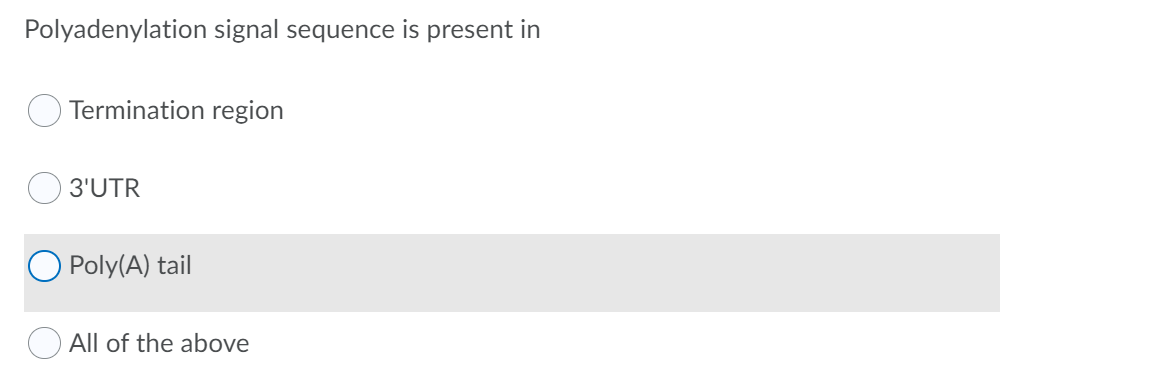 Polyadenylation signal sequence is present in
Termination region
3'UTR
O Poly(A) tail
All of the above
