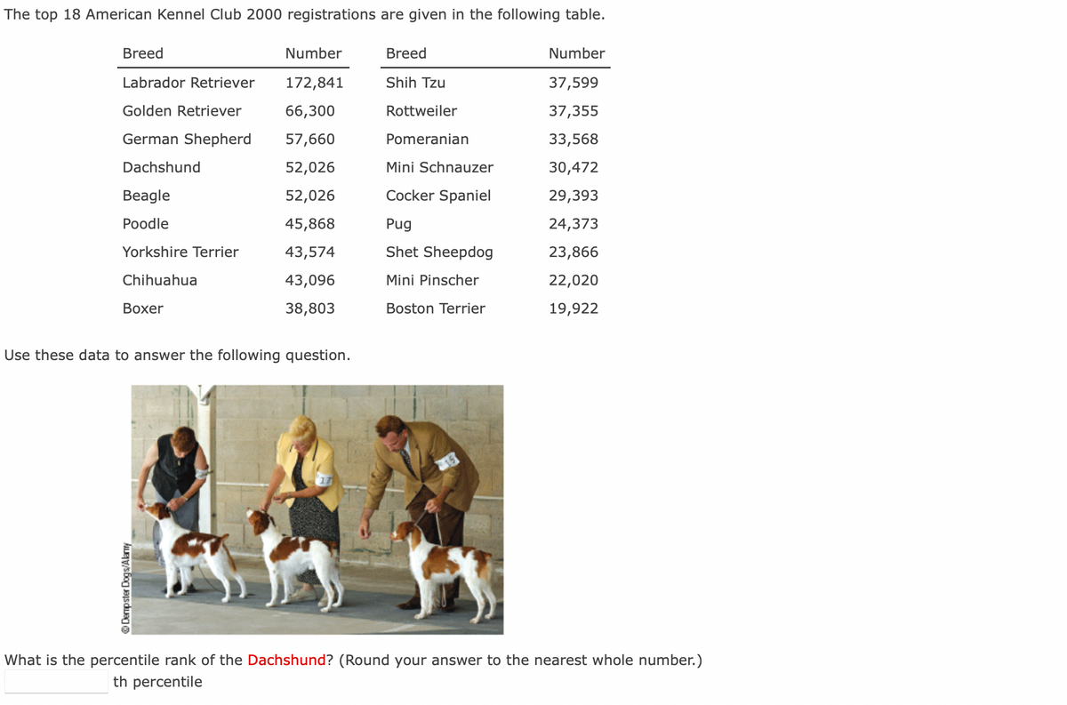 The top 18 American Kennel Club 2000 registrations are given in the following table.
Breed
Labrador Retriever
Golden Retriever
German Shepherd
Dachshund
Beagle
Poodle
Yorkshire Terrier
Chihuahua
Boxer
Number
172,841
66,300
57,660
52,026
52,026
45,868
43,574
43,096
38,803
Use these data to answer the following question.
Dempster Dogs/Alarmy
Breed
Shih Tzu
Rottweiler
Pomeranian
Mini Schnauzer
Cocker Spaniel
Pug
Shet Sheepdog
Mini Pinscher
Boston Terrier
Number
37,599
37,355
33,568
30,472
29,393
24,373
23,866
22,020
19,922
What is the percentile rank of the Dachshund? (Round your answer to the nearest whole number.)
th percentile