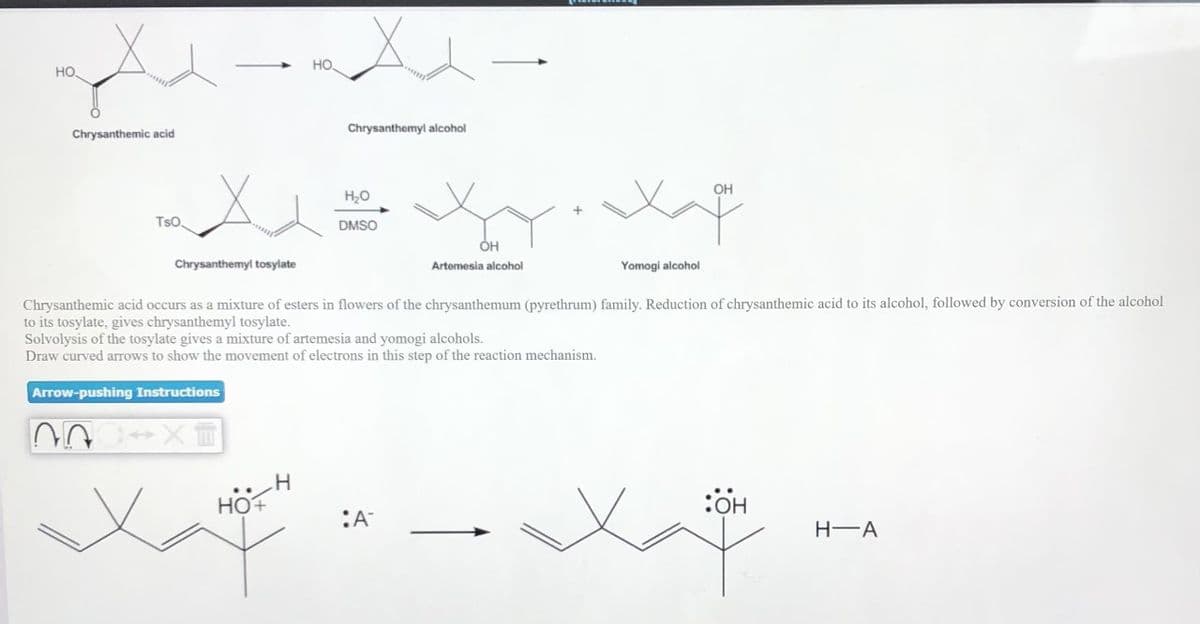 HO,
но.
Chrysanthemic acid
Chrysanthemyl alcohol
OH
H20
TsO.
DMSO
Chrysanthemyl tosylate
Artemesia alcohol
Yomogi alcohol
Chrysanthemic acid occurs as a mixture of esters in flowers of the chrysanthemum (pyrethrum) family. Reduction of chrysanthemic acid to its alcohol, followed by conversion of the alcohol
to its tosylate, gives chrysanthemyl tosylate.
Solvolysis of the tosylate gives a mixture of artemesia and yomogi alcohols.
Draw curved arrows to show the movement of electrons in this step of the reaction mechanism.
Arrow-pushing Instructions
HO+
:OH
:A
H-A
