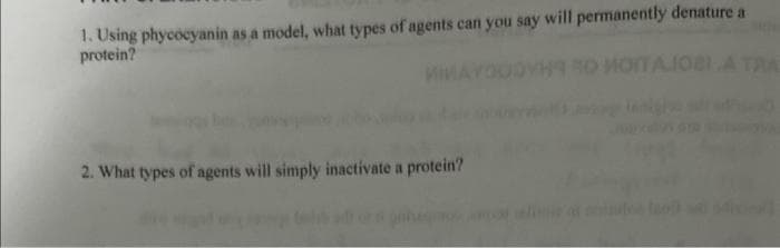 1. Using phycocyanin as a model, what types of agents can you say will permanently denature a
protein?
MIMAYOOOYHT SO MOITALIOBIA TRA
2. What types of agents will simply inactivate a protein?