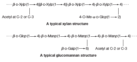 ... B-D-Xylo (1-4)[B-D-Xylp(1- 4)-B-D-Xylp (1- 4)-B-D-Xylp(1- 4) ...
Acetyl at C-2 or C-3
4-0-Me-a-D-Glcp(1-2)
A typical xylan structure
.· B-D-Glcp (1- 4)-B-D-Mano (1-4)-BD-Mano (1-4)-B-D-Manp(1- 4) -
B-D-Galp(1-6)
Acetyl at C-2 or C-3
A typical glucomannan structure
