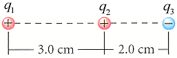 92
93
3.0 cm
2.0 cm
