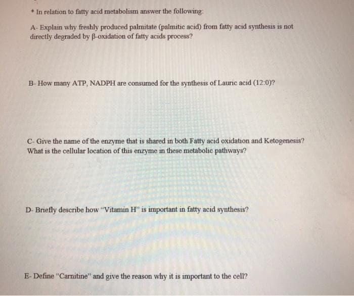 * In relation to fatty acid metabolism answer the following:
A- Explain why freshly produced palmitate (palmitic acid) from fatty acid synthesis is not
directly degraded by B-oxidation of fatty acids process?
B- How many ATP, NADPH are consumed for the synthesis of Lauric acid (12:0)?
C- Give the name of the enzyme that is shared in both Fatty acid oxidation and Ketogenesis?
What is the cellular location of this enzyme in these metabolic pathways?
D- Briefly describe how "Vitamin H" is important in fatty acid synthesis?
E- Define "Carnitine" and give the reason why it is important to the cell?
