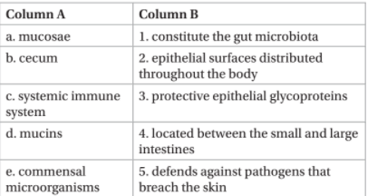 Column A
Column B
a. mucosae
1. constitute the gut microbiota
b. cecum
2. epithelial surfaces distributed
throughout the body
c. systemic immune 3. protective epithelial glycoproteins
system
d. mucins
4. located between the small and large
intestines
e. commensal
5. defends against pathogens that
breach the skin
microorganisms
