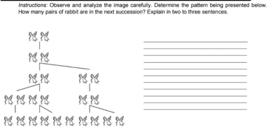 Instructions: Observe and analyze the image carefully. Determine the pattern being presented below.
How many pairs of rabbit are in the next succession? Explain in two to three sentences.
