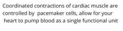 Coordinated contractions of cardiac muscle are
controlled by pacemaker cells, allow for your
heart to pump blood as a single functional unit
